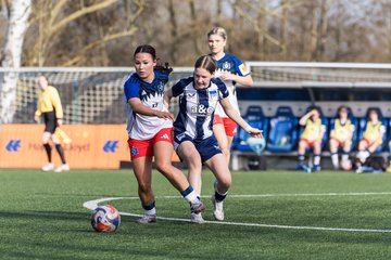 Bild 239 - wBJ Hamburger SV - Hertha BSC : Ergebnis: 2:1